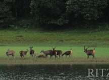 unfolding-the-treasures-of-kerala-4