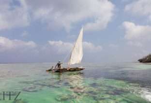 Crystal clear waters off Zanzibar coast