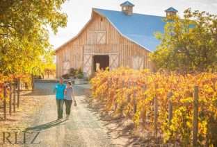 Wine Tasting at Amador Cellars Vineyard