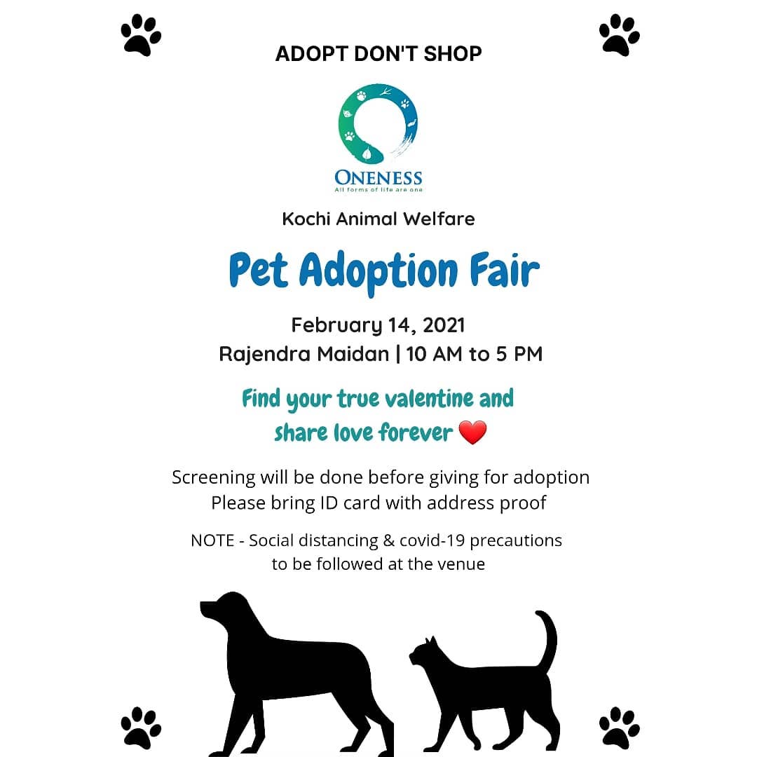 Watch Out For The Pet Adoption Fair At Kochi ! | RITZ