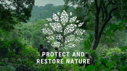 World leaders pledge $5 billion to protect nature - The Statesman