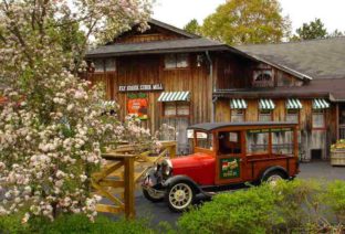 Fly Creek Cider Mill